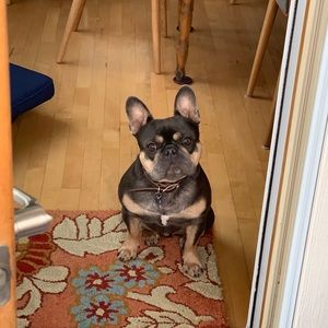 Meet your Posher, Naomi